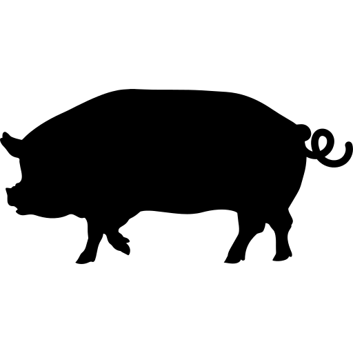 Suina